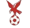 https://img.chinayika.com/img/football/team/4802d26df935b78bb2fcdbbff36e8864.png