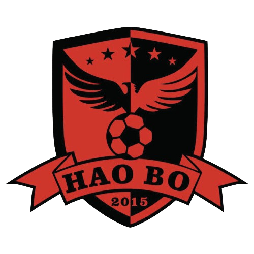 https://img.chinayika.com/img/football/team/d9a3c5c122b3cc6e825109eb6745e378.png